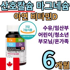 6개월그네대여