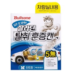 불스원 살라딘 차량실내용 탈취 훈증캔-민트향, 1개, 1개, 60g