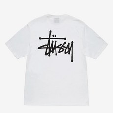 스투시 TOP01