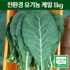 친환경 유기농 케일 1kg (녹즙용 주스용 스무디용 샐러드용 녹즙재료), 1개