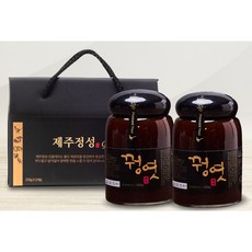 꿩엿(대)선물세트, 650g, 2개