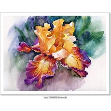 1388f537c4a20fcd0eec361f080ece39d796ff0dadf5c0c12608af47ddc7.jpg