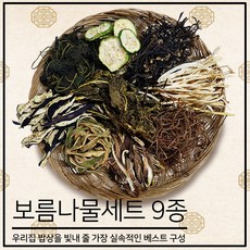 하늘농가 보름나물세트 건나물 9종세트, 1개