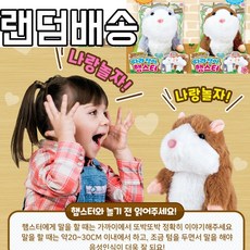 따라쟁이햄스터