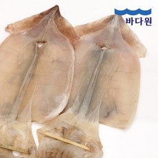 바다원 국내산 마른오징어, 1세트, 10미(400g)