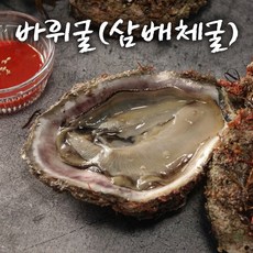 [통영 산지출고] 통영굴 석화 각굴 하프셀 반각굴 찜용굴 구이용 캠핑용 굴 석화회 회 횟감용 통영석화 5kg 10kg 1개 10. 삼배체굴 5kg 상품 이미지