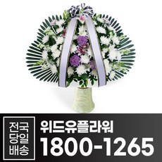 61b87c3bfe83fe962b0e7b134d41b6c2ebe0f6f33db3608ef203dadae417.jpg