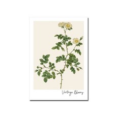 이상한변호사우영우포스터