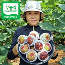 무농약해남생무화과