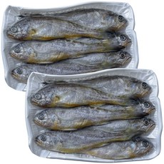 중국산조기