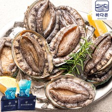 [선물포장] 바다온 완도활전복 특특大 9마리 (마리당110g내외), 단일속성