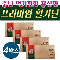 프리미엄 중장년 먹는 정관장 홍삼 활기단 120환 시니어 중장년 노인 먹기편한 환, 4개, 1.125kg