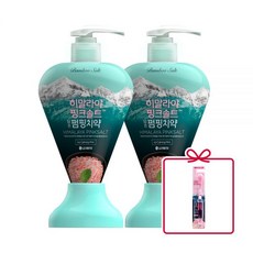 히말라야 핑크솔트 아이스민트 / 플로랄민트 펌핑치약 285g 2개 + 핑크솔트 담은칫솔 2개, 펌핑플로럴285g 2개+칫솔1개
