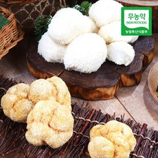 [햇님농장] 강진 양승규님의 무농약 건 노루궁뎅이버섯 50g, 1개