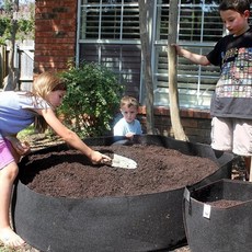 추천7블루베리묘목재배