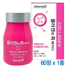 저분자 어류콜라겐 추천 먹는 히알루론산 생선껍질 콜라겐 이탈리아산 프락토올리고당 네추럴라이즈, 1박스, 60정