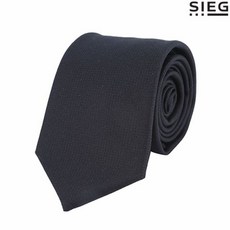 SIEG 마이크로 스퀘어 네이비 울 타이 PWATH0117