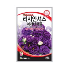 리시안셔스 TOP01