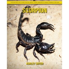 Scorpion: Fascinating Facts and Photos about These Amazing & Unique Animals for Kids Paperback, Independently Published