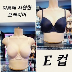 sbrd047 TOP01