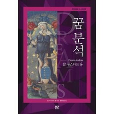 꿈분석