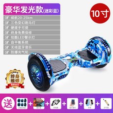 전동이륜평행차