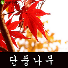 81250f2e77efa7564c3ae2756582f3dd78fd74ded3c47ebd0056227540fb.png