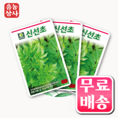 흥농상사 신선초씨앗 100립 명일엽 씨앗 쌈채소 민속채소 산야초 씨앗 종자, 3개