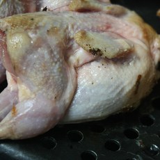 배들어오는날 생지메추리 10미, 1팩