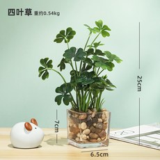 미니조화화분 생화같은조화 인조화분 해바라기 다육식물, AL.국방색 네잎클로버그린