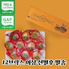 감홍사과 TOP01