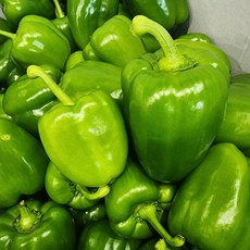 국내산 청피망 1kg 특, 없음, 1개