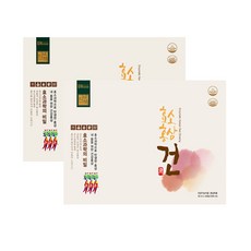 비티진 진비책 효소홍삼 건 40ml x 30포 2박스 액기스 파우치 발효 효소 홍삼액 건강기능식품, 단일속성, 2개, 1.2L