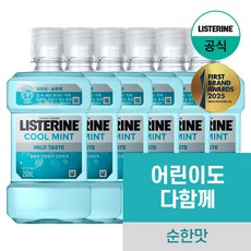 리스테린 쿨민트 마일드 구강청결제, 250ml, 6개