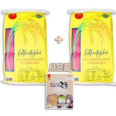 배동바지반달채단무지