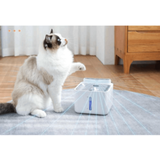 아포지엘리먼트24