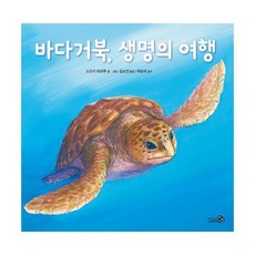 바다거북 생명의 여행