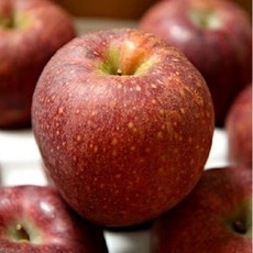 산지직송 청송 폴리페놀 사과(감홍) 4kg 8-10과, 단품없음