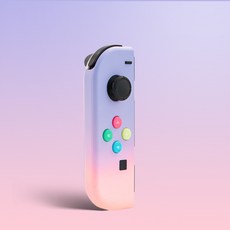 닌텐도조이콘하우징