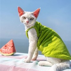 민소매옷만들기패턴
