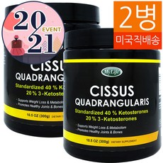 마이라이프 시서스 분말 케토스테론 40% 300g 2병