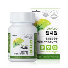 웰리버 센시원 은행잎추출물 영양제 혈행개선 도움 2개월분, 60정, 1개