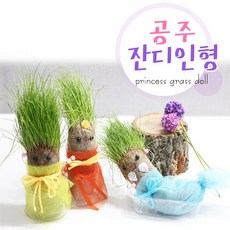 공주잔디인형 DIY체험학습 귀여운 토피어리만들기, 진달래공주, 1개