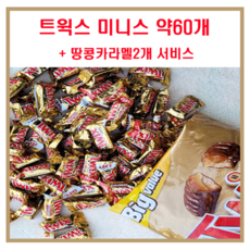 트윅스미니