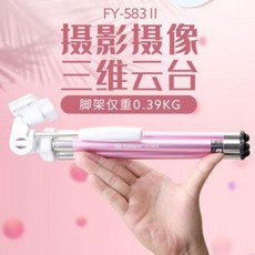 푸바오사진