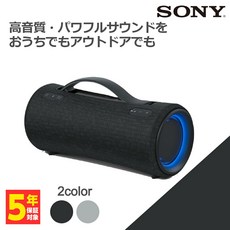 srs-xg300