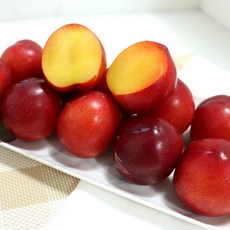 빛고을장터 새콤달콤한 하우스 햇 자두 500g 1-5팩, 1box, 01_자두 1팩 (팩당 500g내외)