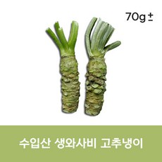 수입산 생와사비 wasabi 70g 2~4뿌리 고추냉이 생 고추냉이 뿌리 생고추냉이뿌리 와사비 고추냉이생와사비, 소근 70g(2-4개), 4개