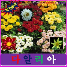 d105159b4370272ebb28c0a9c2aaca7c225b528be5f88694eee3ce0ce92e.jpg