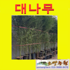 0c1c33235bca36a8db081a3c0fae2f44562a6f6bdd174e857a965c8062dd.png